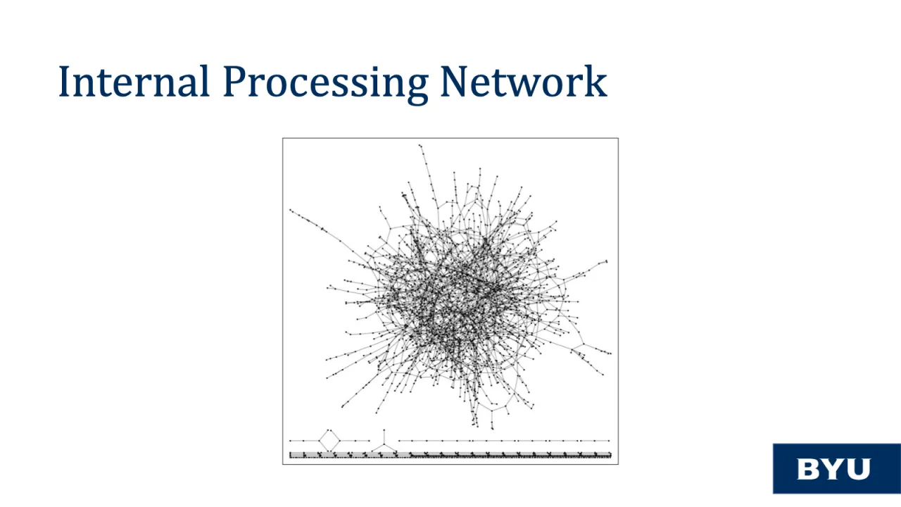 Slide 18: Internal processing network